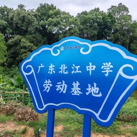 劳动至美    劳动欢乐                                 广东北江中学凌云学部七年级（8）班