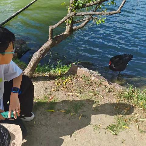 我的暑期生活