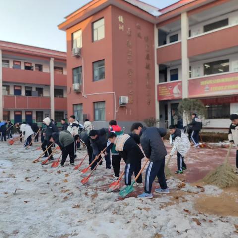 铲雪除冰，情暖寒冬，最美的姿态——濮阳县三中北校区师生劳动实践活动纪实