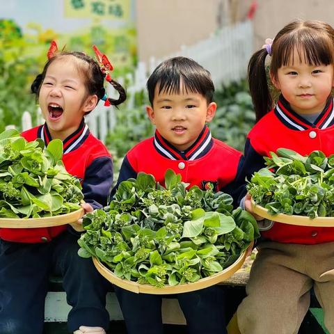 植一抹绿色，溢一片春光—苗苗四班植树节活动