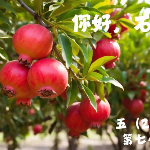 “你好，石榴”项目学习