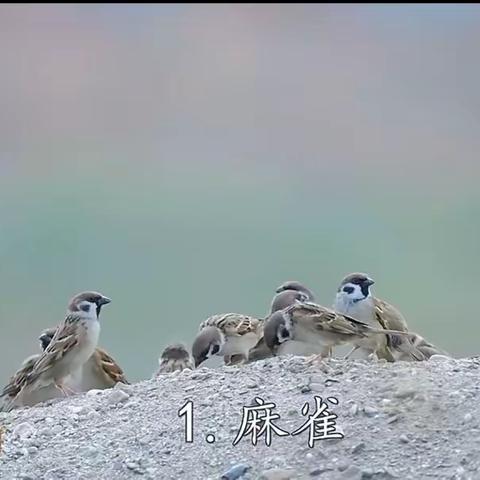 走进大自然