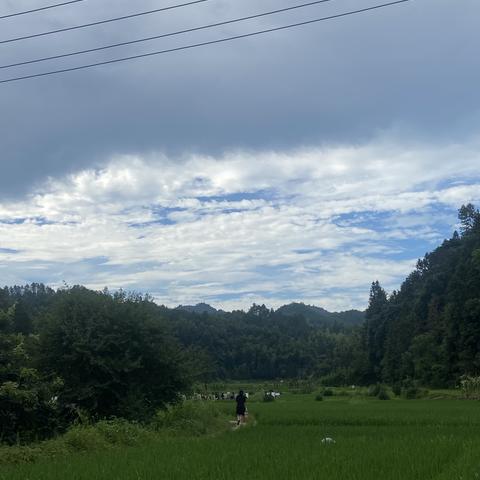 暑期活动 李坑风景