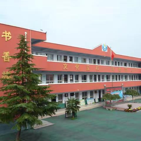 中心小学