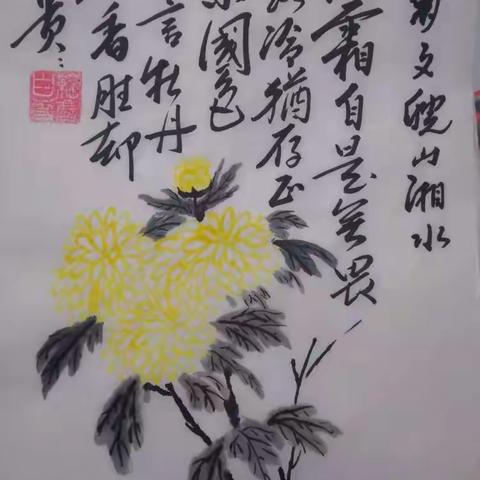 菊