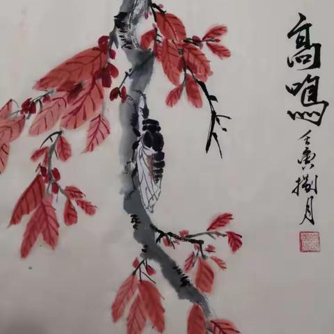 动物