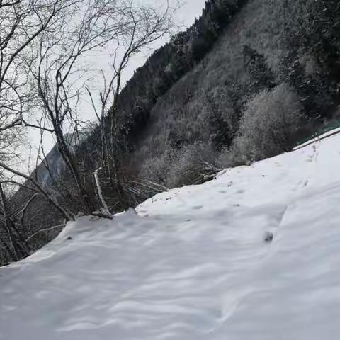 雪
