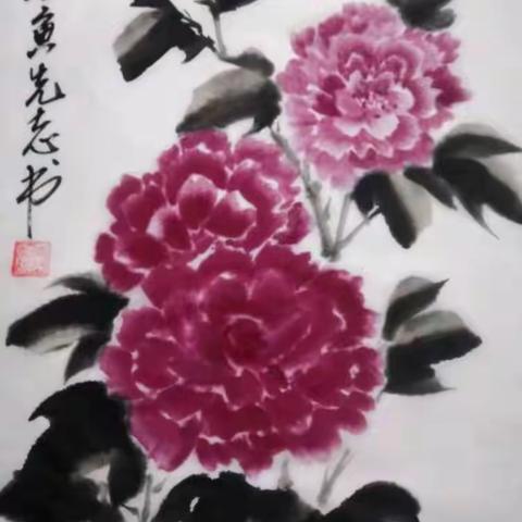 春花秋月