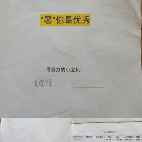 暑假实践汇报---硒都小学217班夏康芮