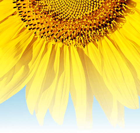 嘿！我的夏天不一“YOUNG” —502班赖航仟暑假特色作业