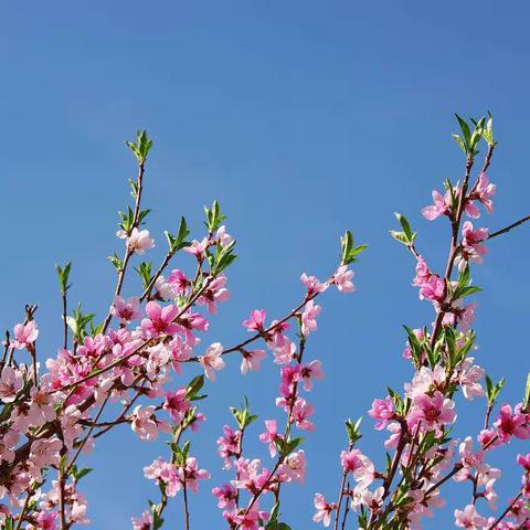 走进田间，撒下希望之种