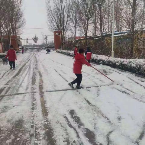 赵辛庄小学—师生扫雪 绘制冬日温暖画卷