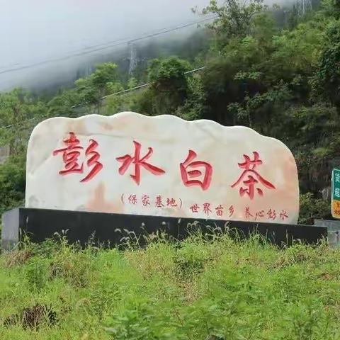 保家见人情，摩围品风景