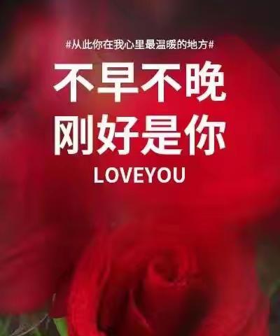 广庙丝堡和缘七页邮线公私莲花三大思空齐天大X依钵人民英雄纪念杯弓蛇影兜堤封水碗