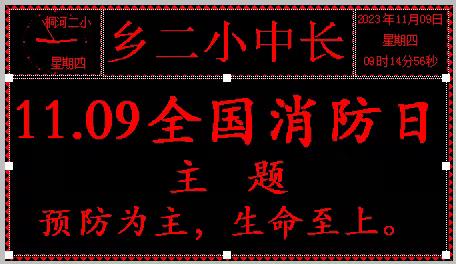 桐河二小11.09全国消防日----防恐防暴演练