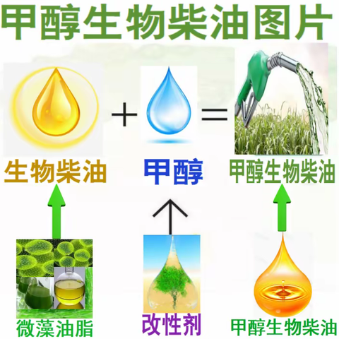 甲醇生物柴油零碳技术路径及关键技术