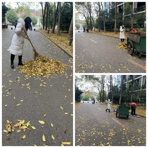 冬日中的那抹暖橙——株洲市二中初中部2305班劳动实践活动侧记