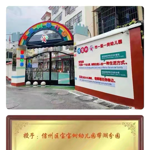 【快乐成长，童心相伴】带湖宝宝树幼儿园大二班第八周周报