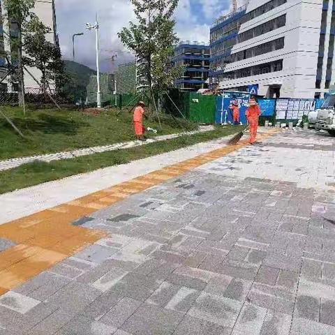 潼湖生态智慧区市政道路环境卫生市场化服务项目未接管道路整治工作日报