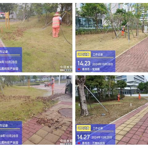 智慧区一期落叶卫生大整治行动工作台账