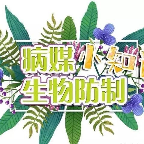 【控制病媒生物  守护幼儿健康】福安明珠幼儿园——防病媒生物知识宣传