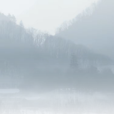 大雪无情师有爱 清除积雪不懈怠——林口县莲花镇中学开展清雪活动