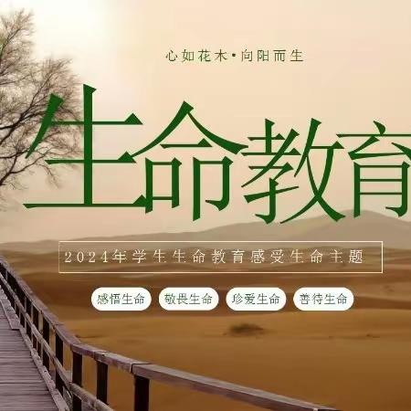 中学生心理健康教育——七年级心理健康主题班会