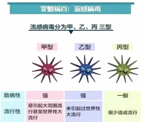 预防流感卫生知识