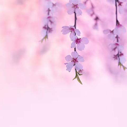 幼儿园小朋友秋季穿衣图鉴