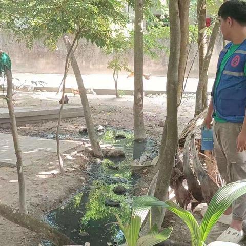 妙林村委会联合区应急管理局、区执法局开展爱国卫生防蚊灭蚊预防登革热活动