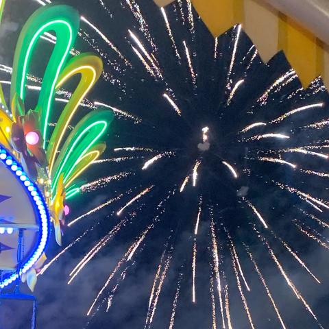 🎁金蛇贺岁  又遇福年🧧