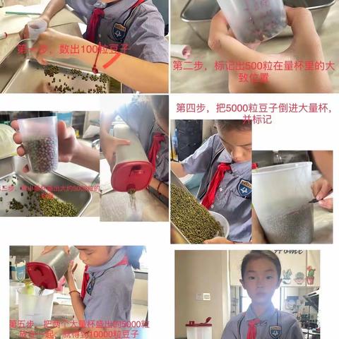 新城实验小学古城校区四年级数学活动——认识生活中的大数•数大米