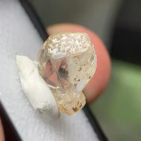 每日特价更新-160包邮。