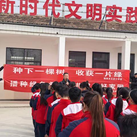 种下一棵树，收获一片绿——王庄村委与王庄小学植树节活动纪实