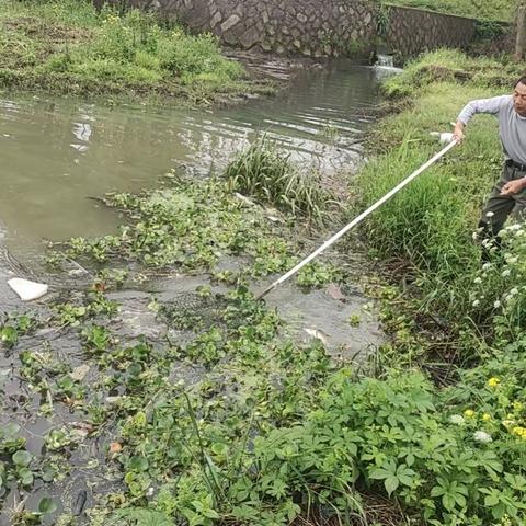 清理水面漂浮物，保护熟溪水环境