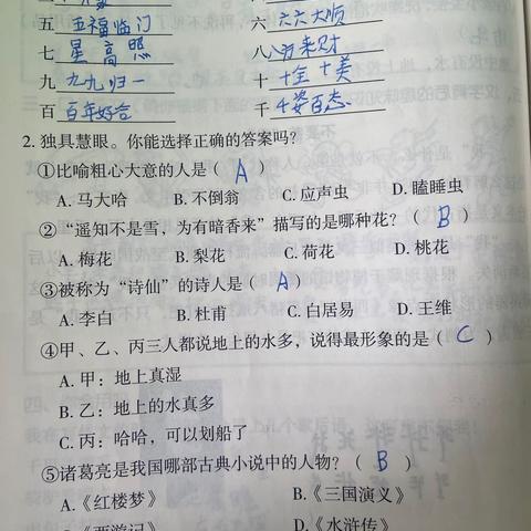 清风岭镇中心小学优秀寒假作业评选活动