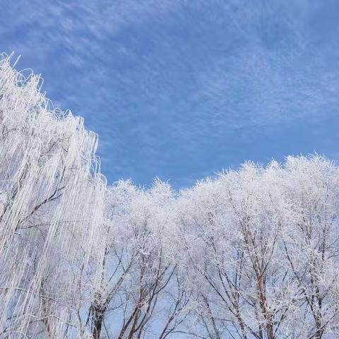 冬天的雪