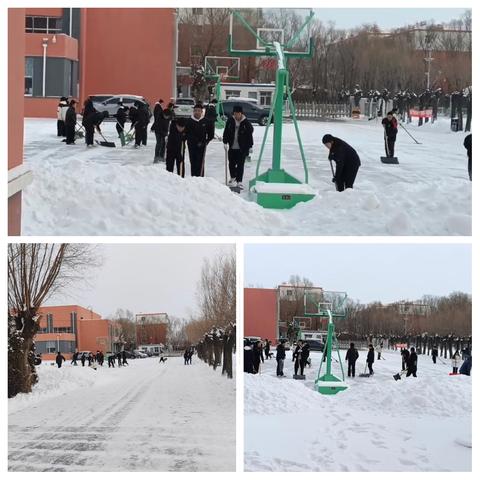 爱校清雪在行动——大庆市第五十二中学校园清雪特别报道