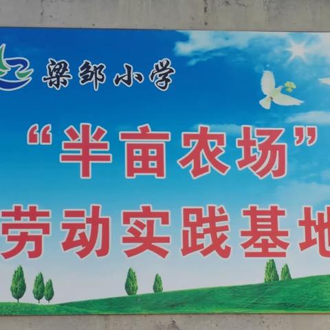 劳动教养深植学生心田