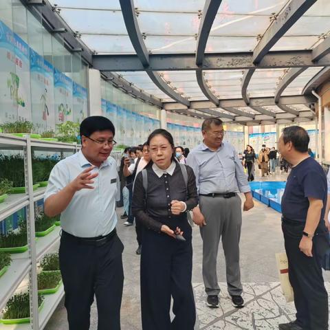 水培种植放异彩，劳动教育结硕果