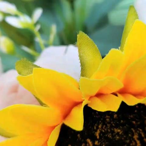 家校共育，静待花开——万科城幼儿园珊瑚班春季家长会