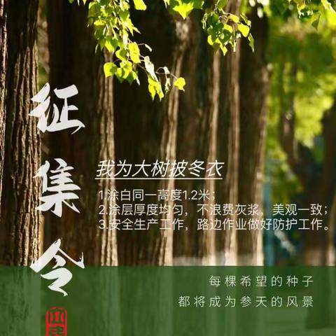 秋日百花杀，迎冬暖新芽——博奥学校四年级我为大树披冬衣活动纪实