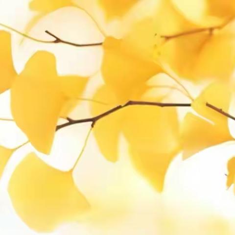 缘聚中医药香 绽放科技之光 ———库尔勒市第八中学第十三届科技节暨首届传承中医药文化节