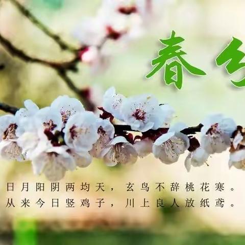 春分绘竖彩蛋  探索平衡之美  ———市八中科普知识共学