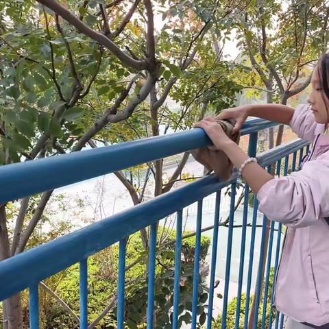 【卫辉市狮豹头乡中心学校】——以“净”为基，用“心”护航，绘就校园最美底色