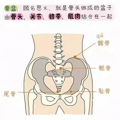 正午镇卫生院妇科门诊开展骨盆修复——拯救产后妈妈们的“难言之痛”