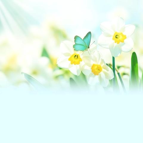 当心脏按下“暂停键”之后 ﻿‍——VA-ECMO 7日重生记