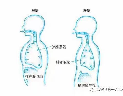 想要呼吸功能好，必知晓！