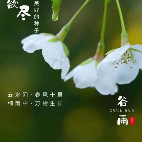 “雨生谷雨，时值暮春”——明珠幼儿园大一班谷雨节气活动