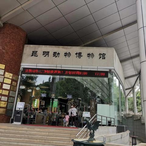 昆明市盘龙区世欣幼儿园———昆明动物博物馆研学之旅